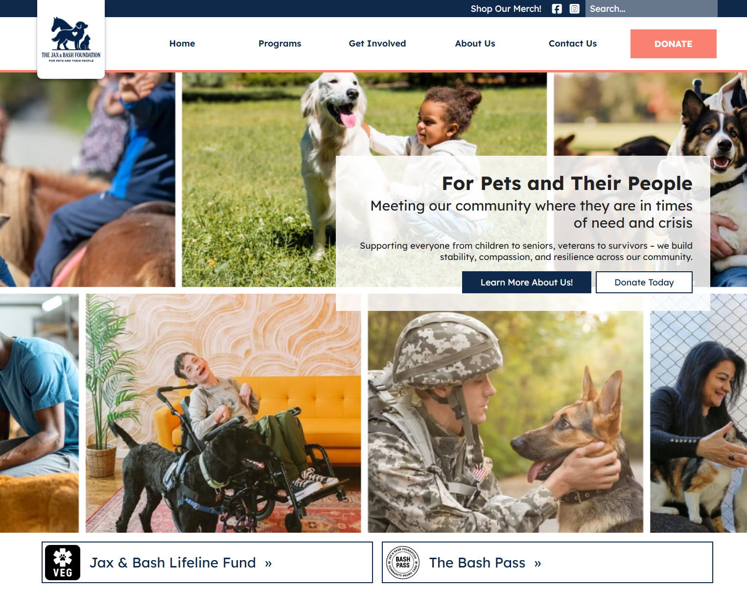 project: Jax & Bash Foundation Website